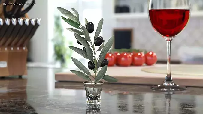 Olive Branch with Dark Olives 3D model 5