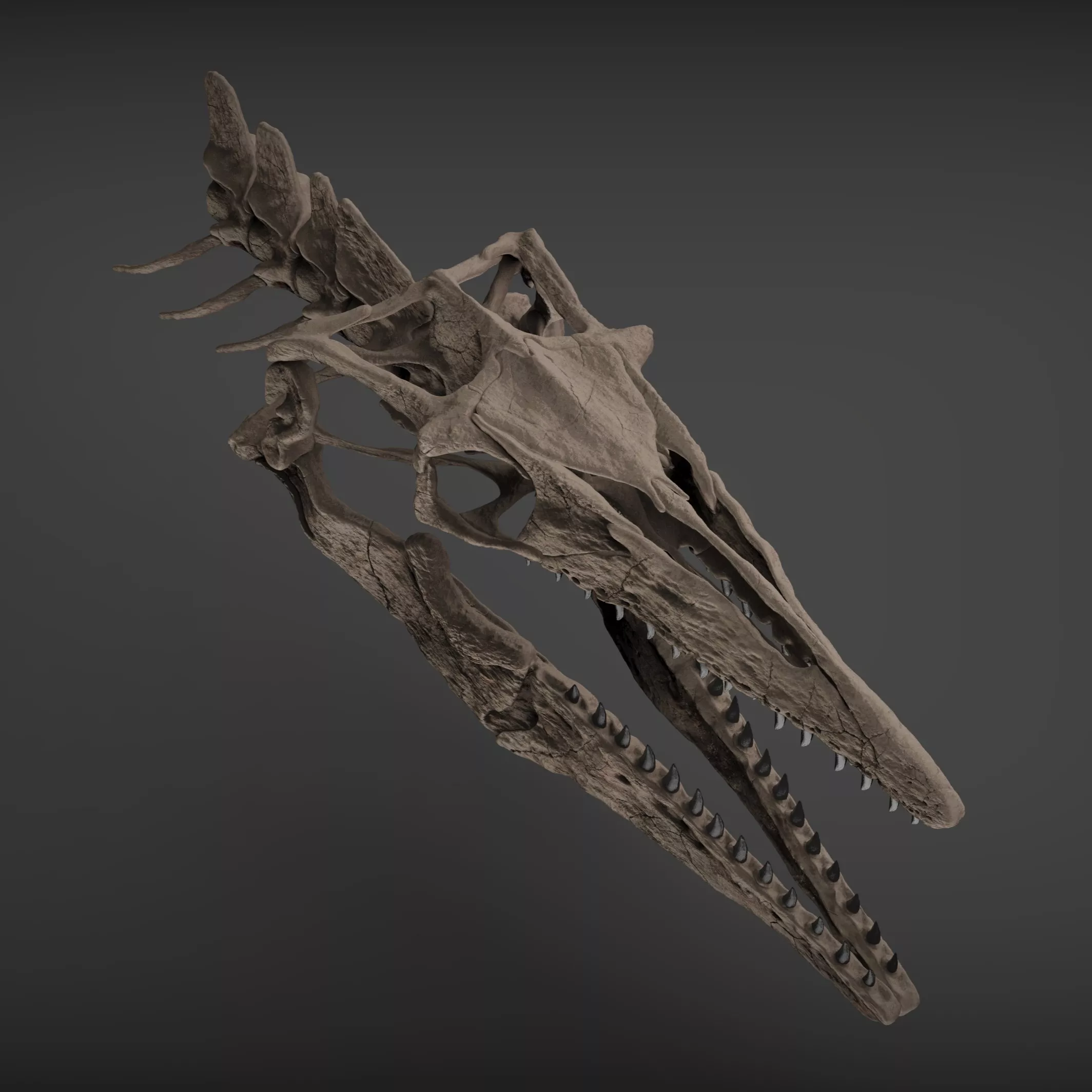TYLOSAURUS BUST 3D print model