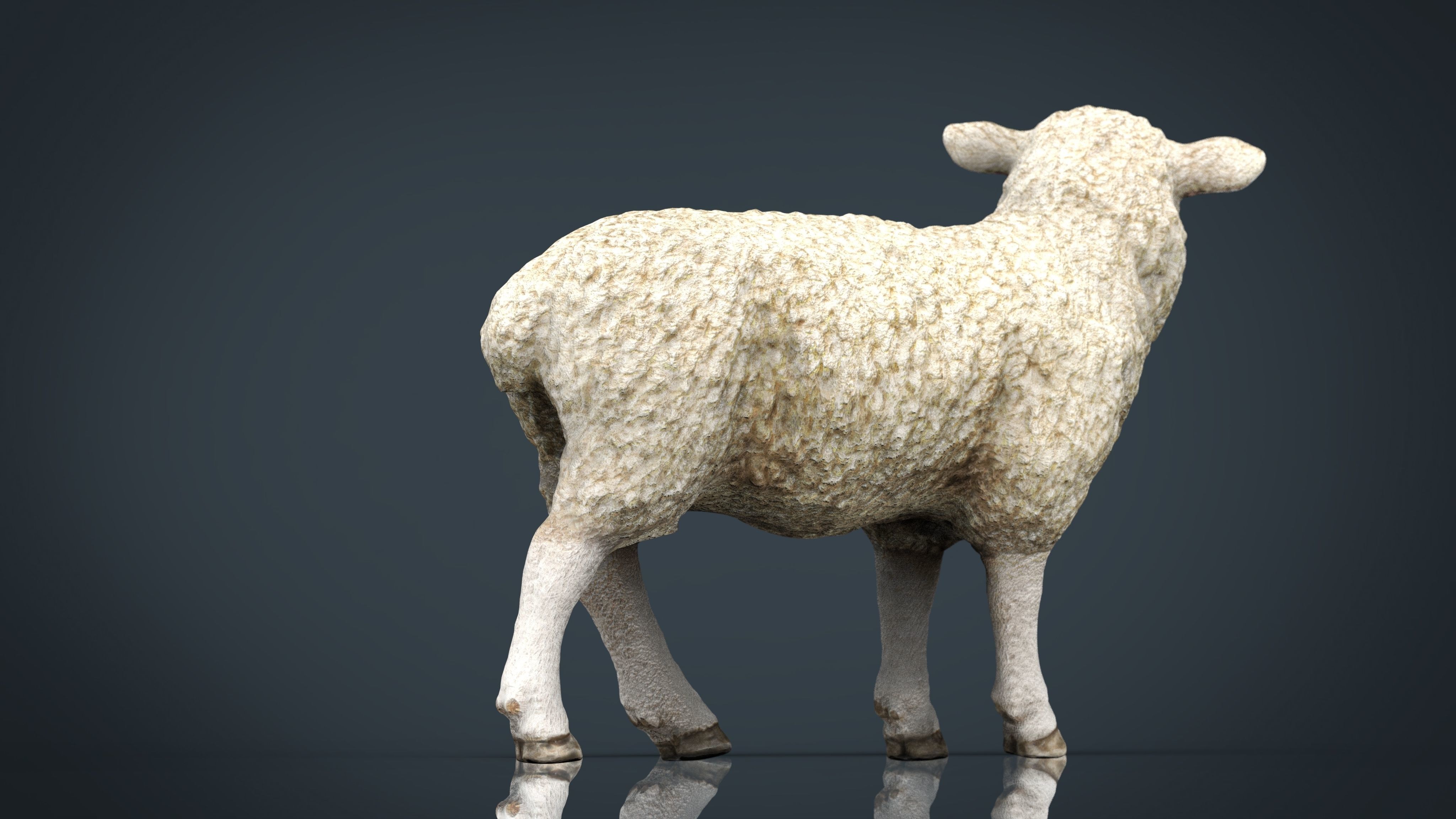 Sheep 2 Low-poly 3D model_8