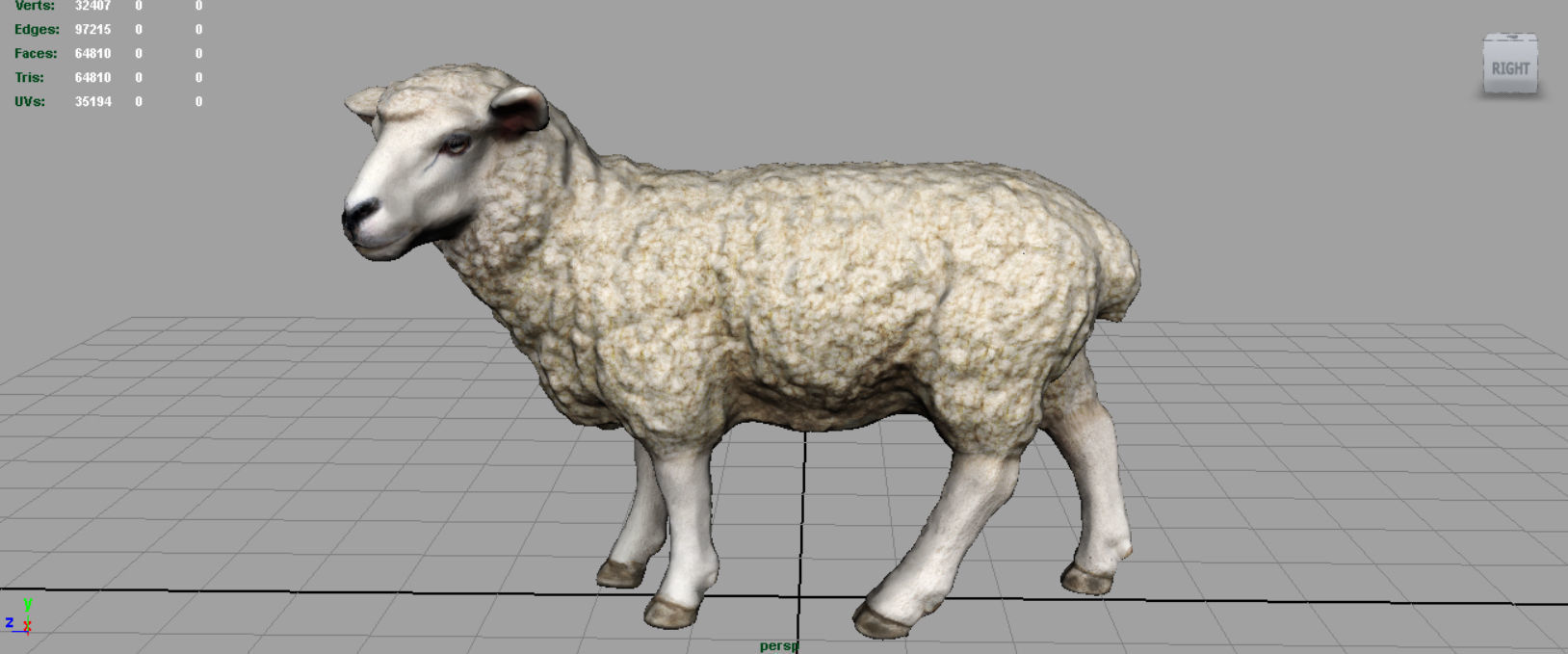 Sheep 2 Low-poly 3D model_2