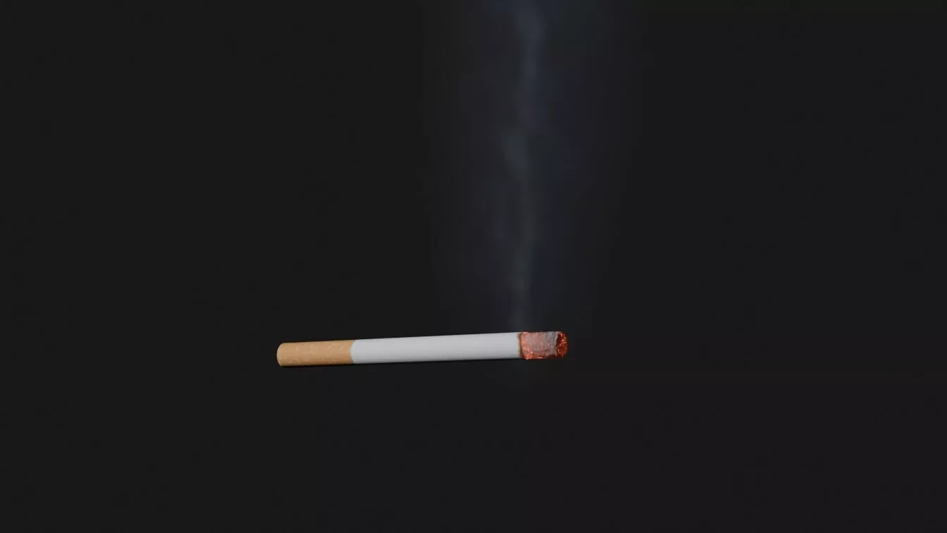 Cigarette Burn Animated Low-poly 3D model