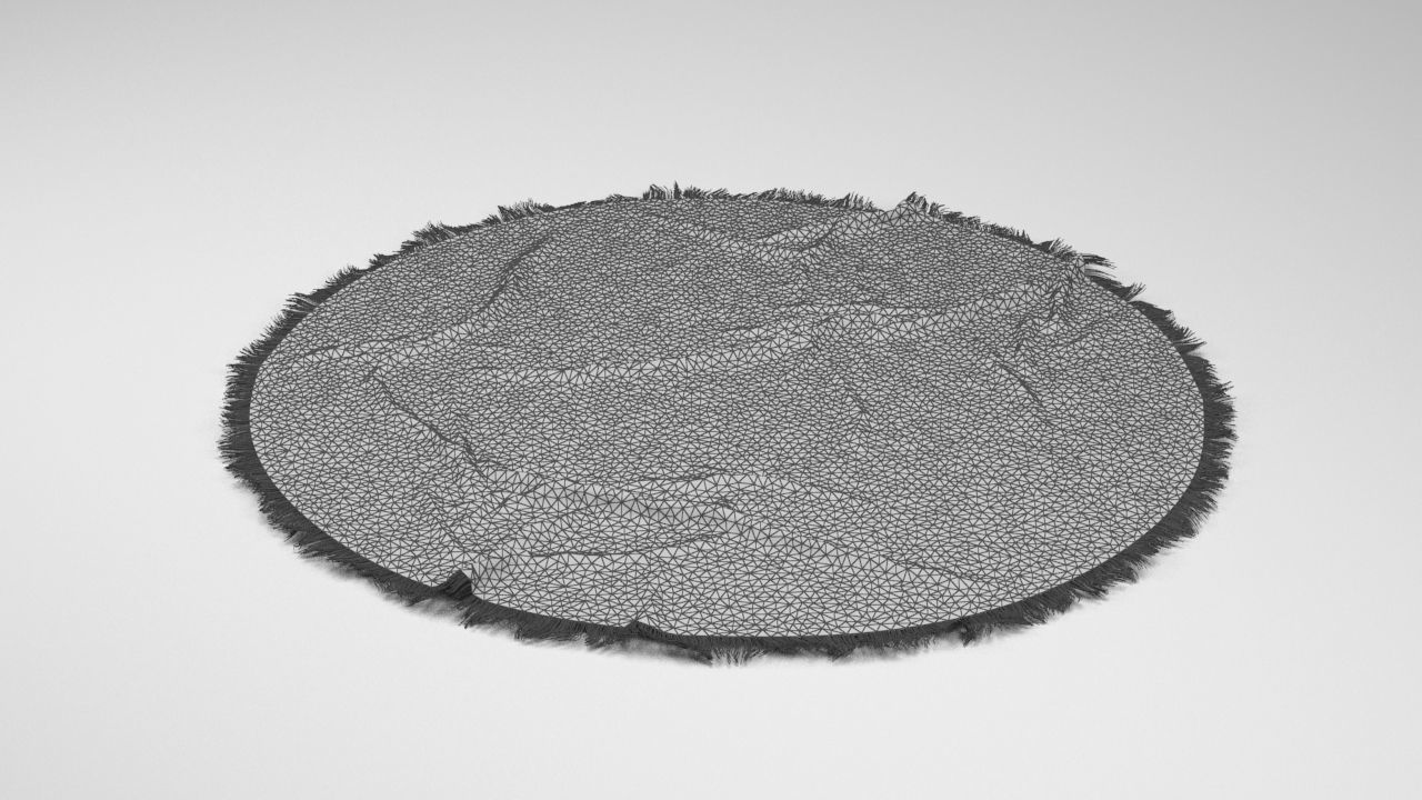 Round Rippled Rug 3D model_3
