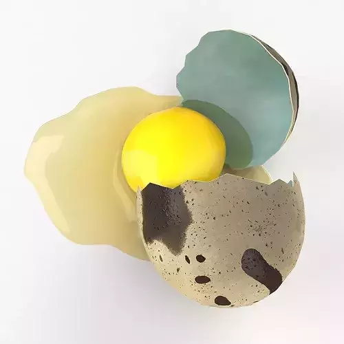 Cracked Quail Egg 3D model 6