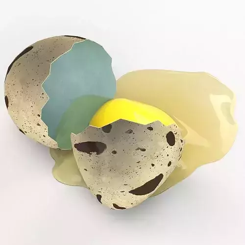 Cracked Quail Egg 3D model 3