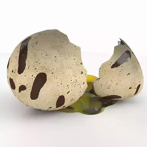 Cracked Quail Egg 3D model 7
