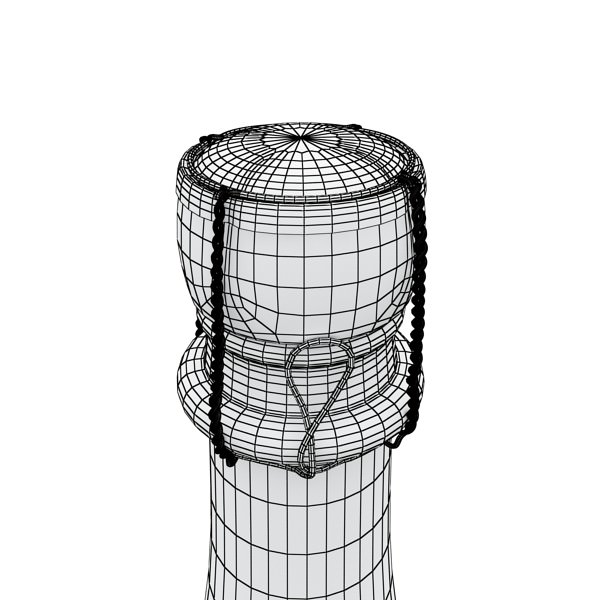 Champagne Set 3 - Bottle Flute and Ice Bucket 3D model_24