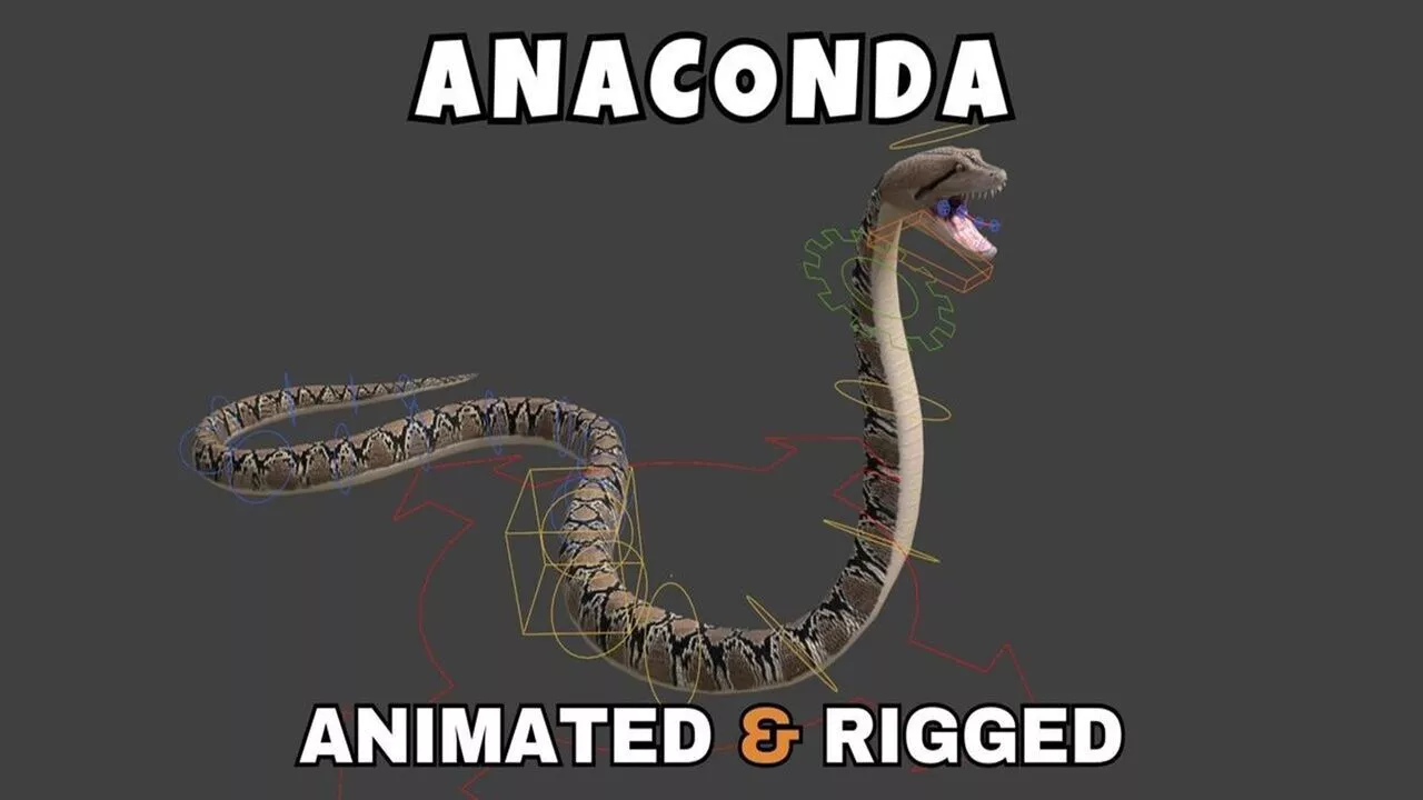 Anaconda Rigged And Animated 3D Model Low-poly 3D model