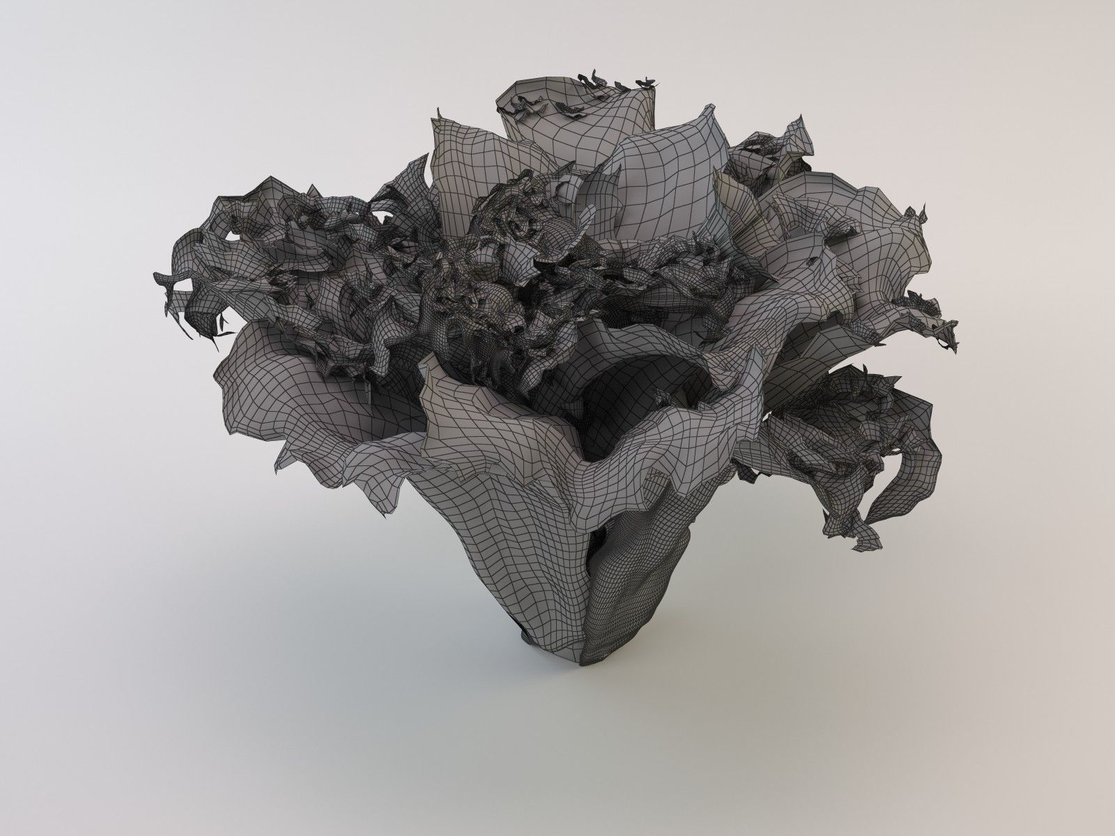 Lettuce leaf 3D model_8