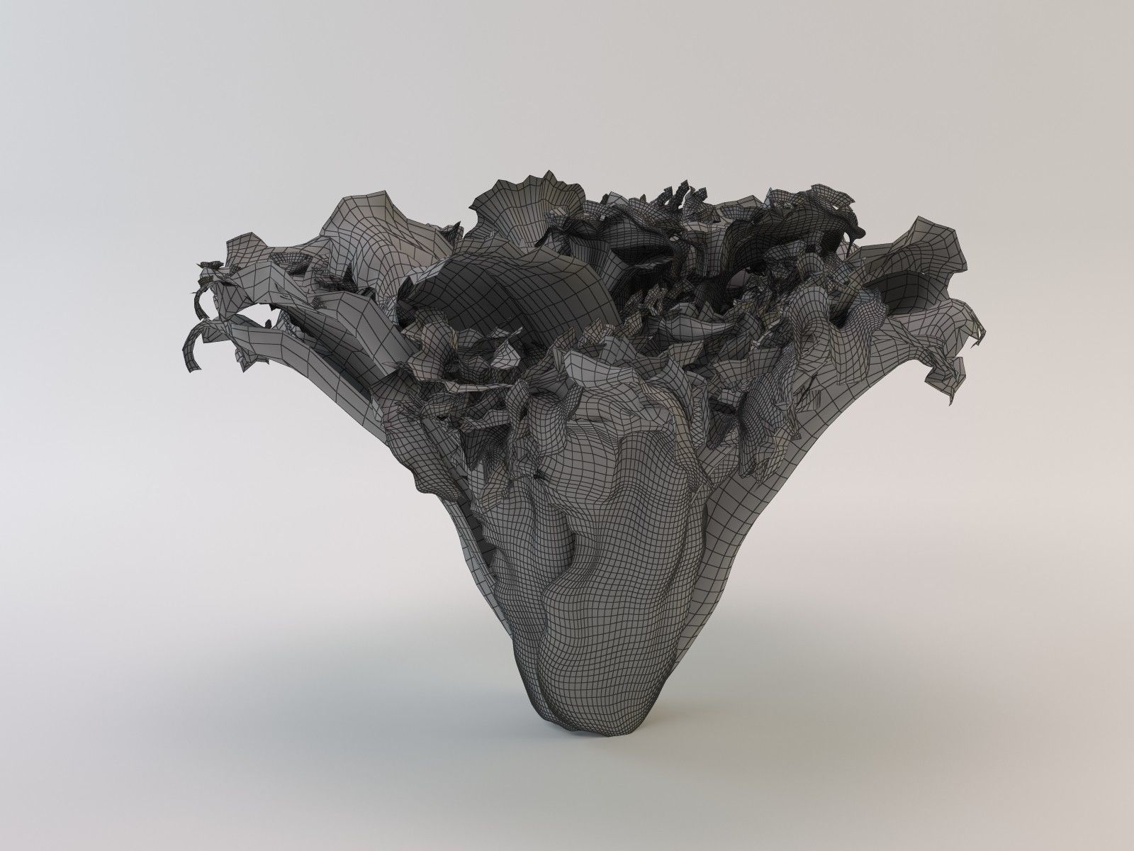 Lettuce leaf 3D model_9