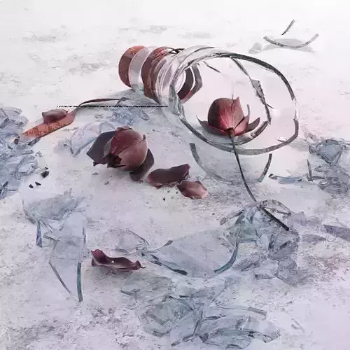  Rose in a broken bottle