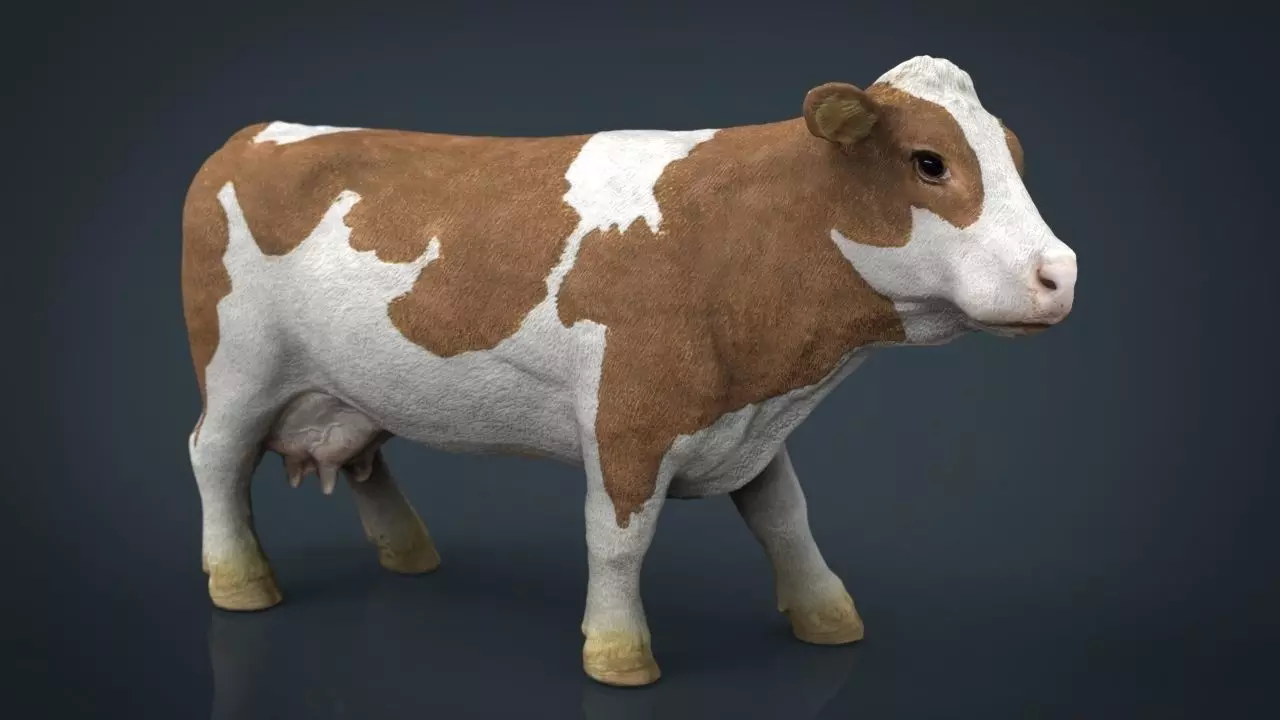 Cow 2 Low-poly 3D model_0