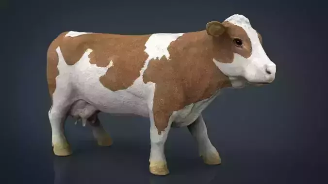 Cow 2