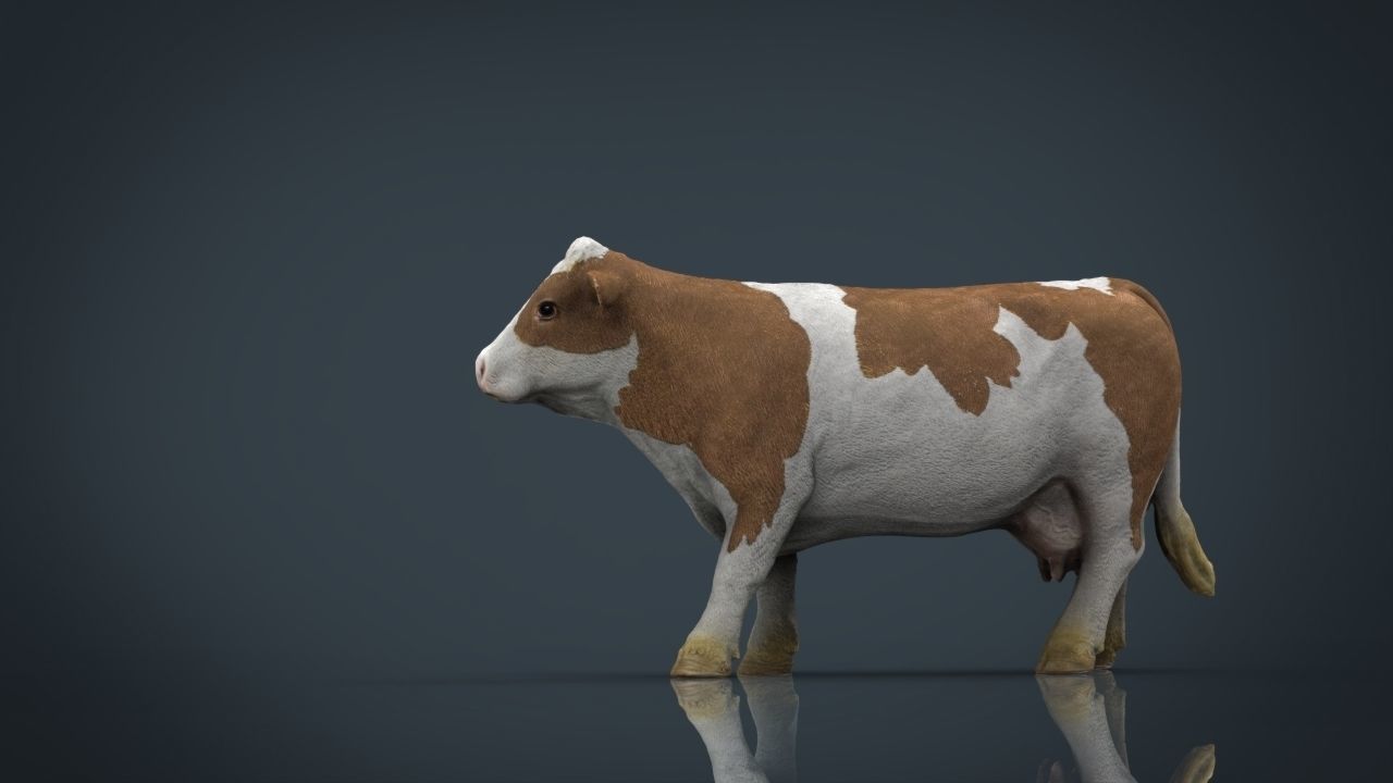Cow 2 Low-poly 3D model_7