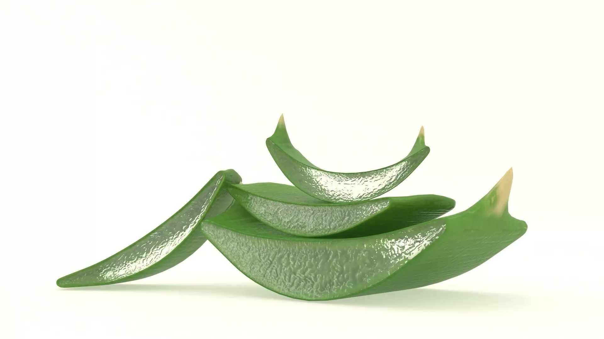 Aloe Vera slice health herb Low-poly 3D model