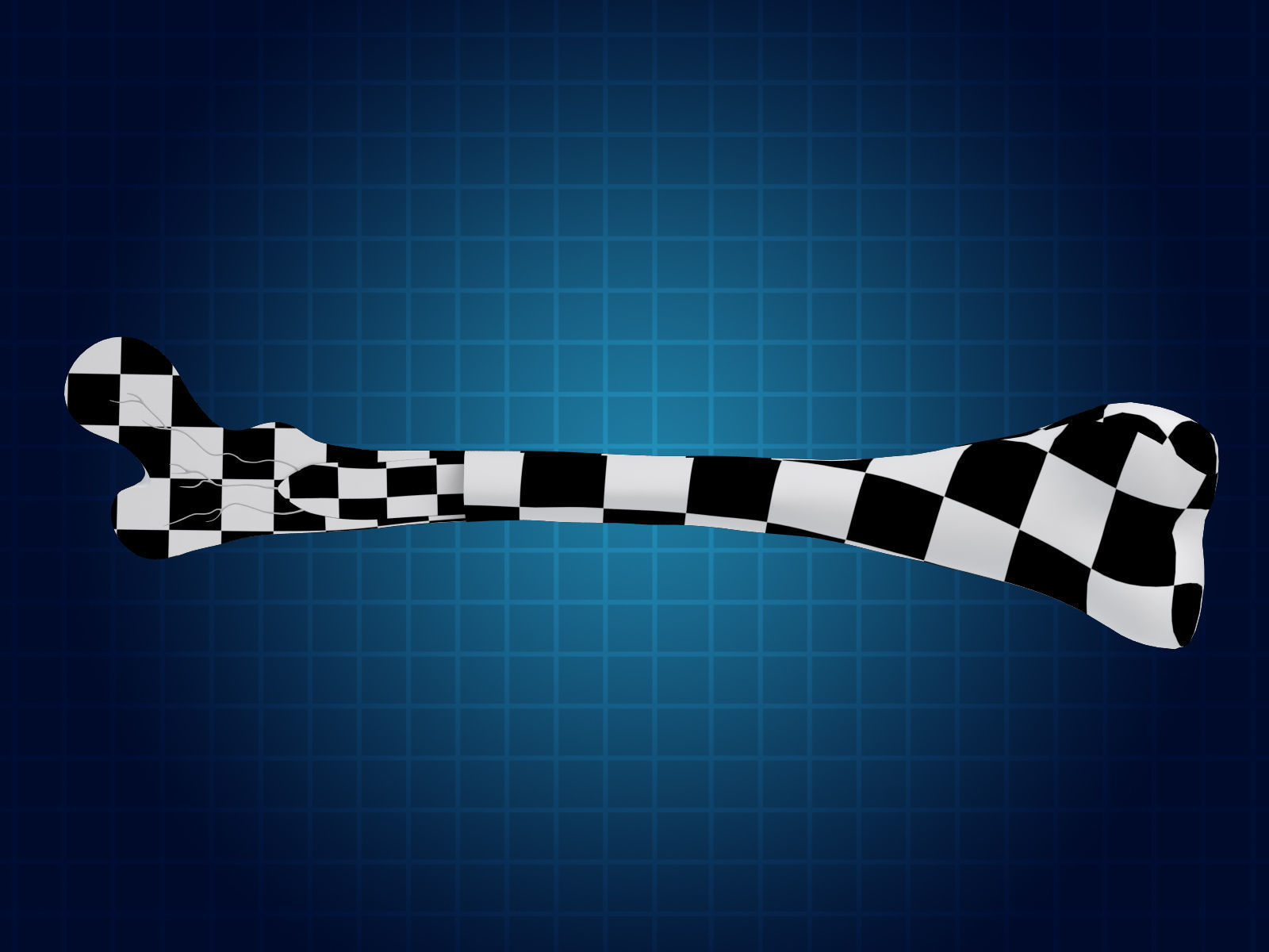 Bone Cross Section 3D model_6