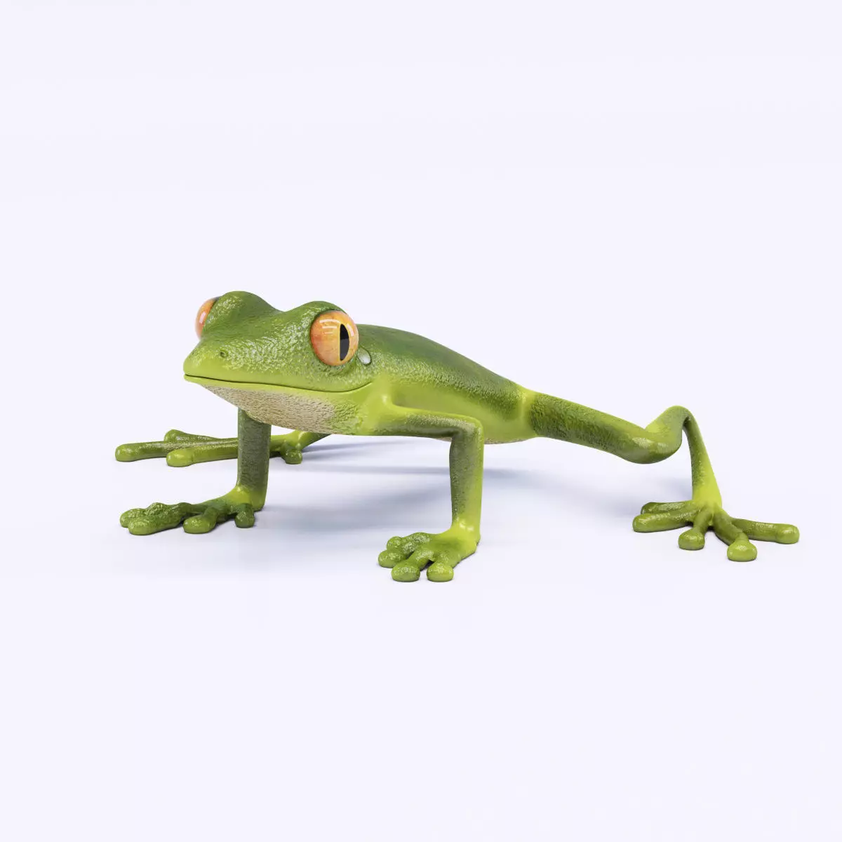 Green Frog 3D model_0
