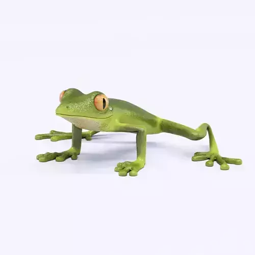 Green Frog
