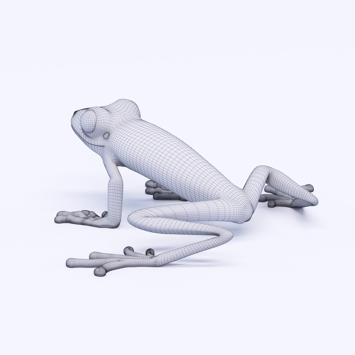 Green Frog 3D model_2