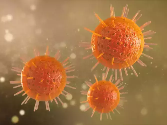 Herpes Simplex 3D model