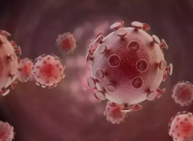 Hiv Virus 3D model
