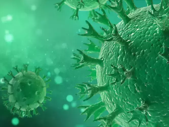 nfulenza Virus 3D model