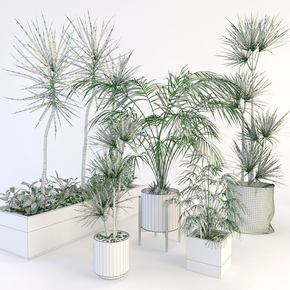 Palms palm tree in pot 3D model_2