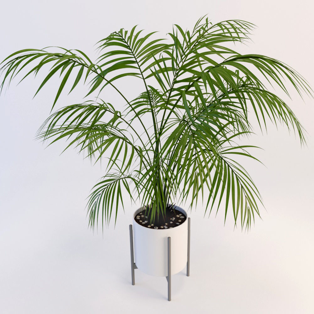 Palms palm tree in pot 3D model_9