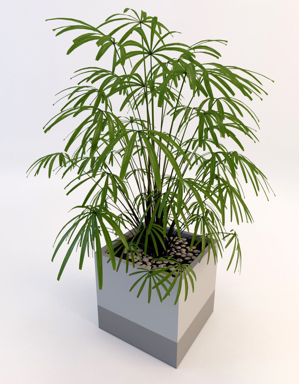Palms palm tree in pot 3D model_8