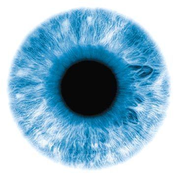 Barbarian jesus character Free 3D model_3