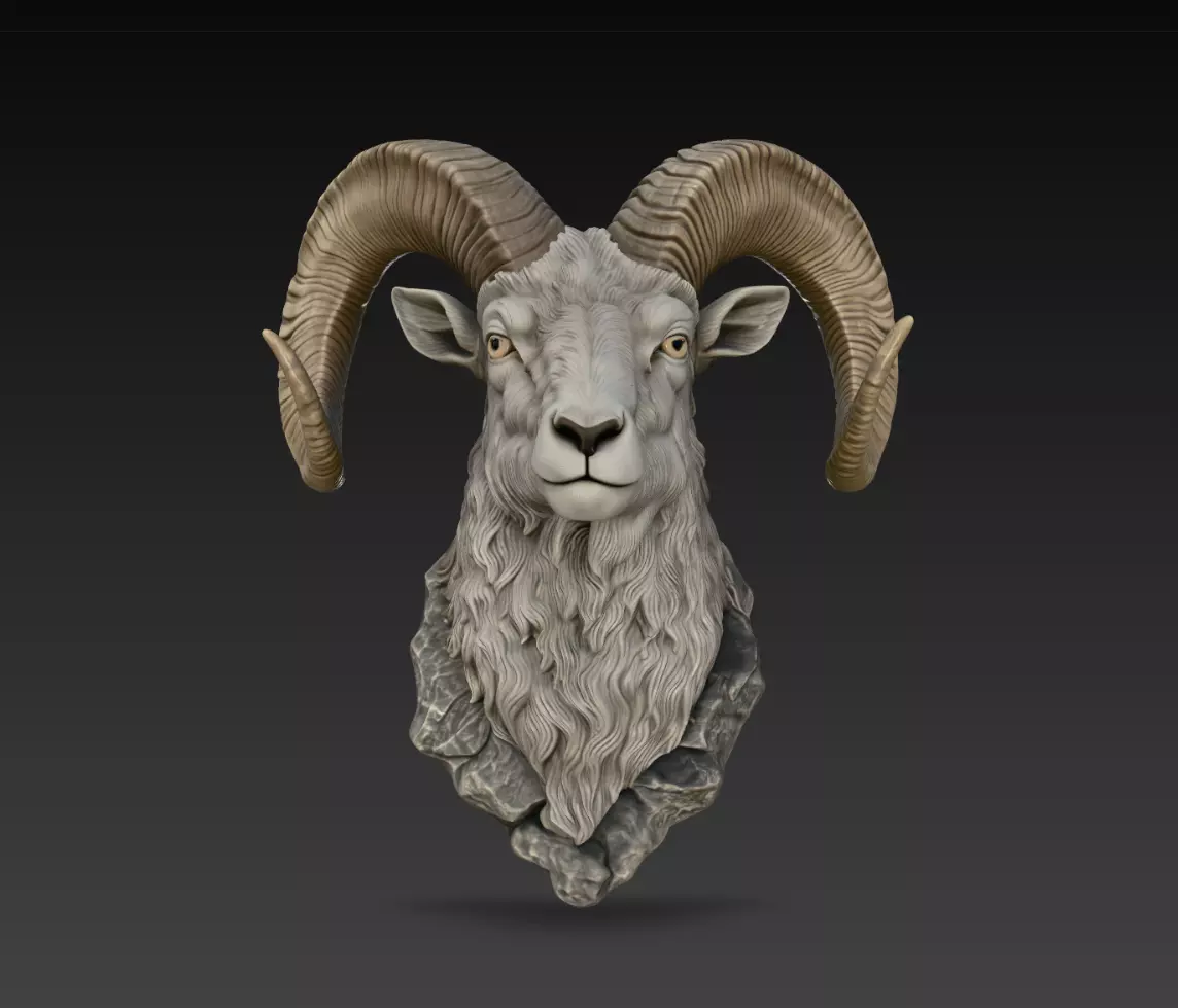 Highland Ram Head Trophy Bust STL Print Model 3D print model