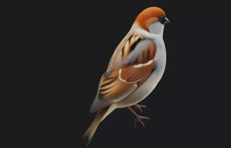 Animated Sparrow Bird 3D Model 3D model