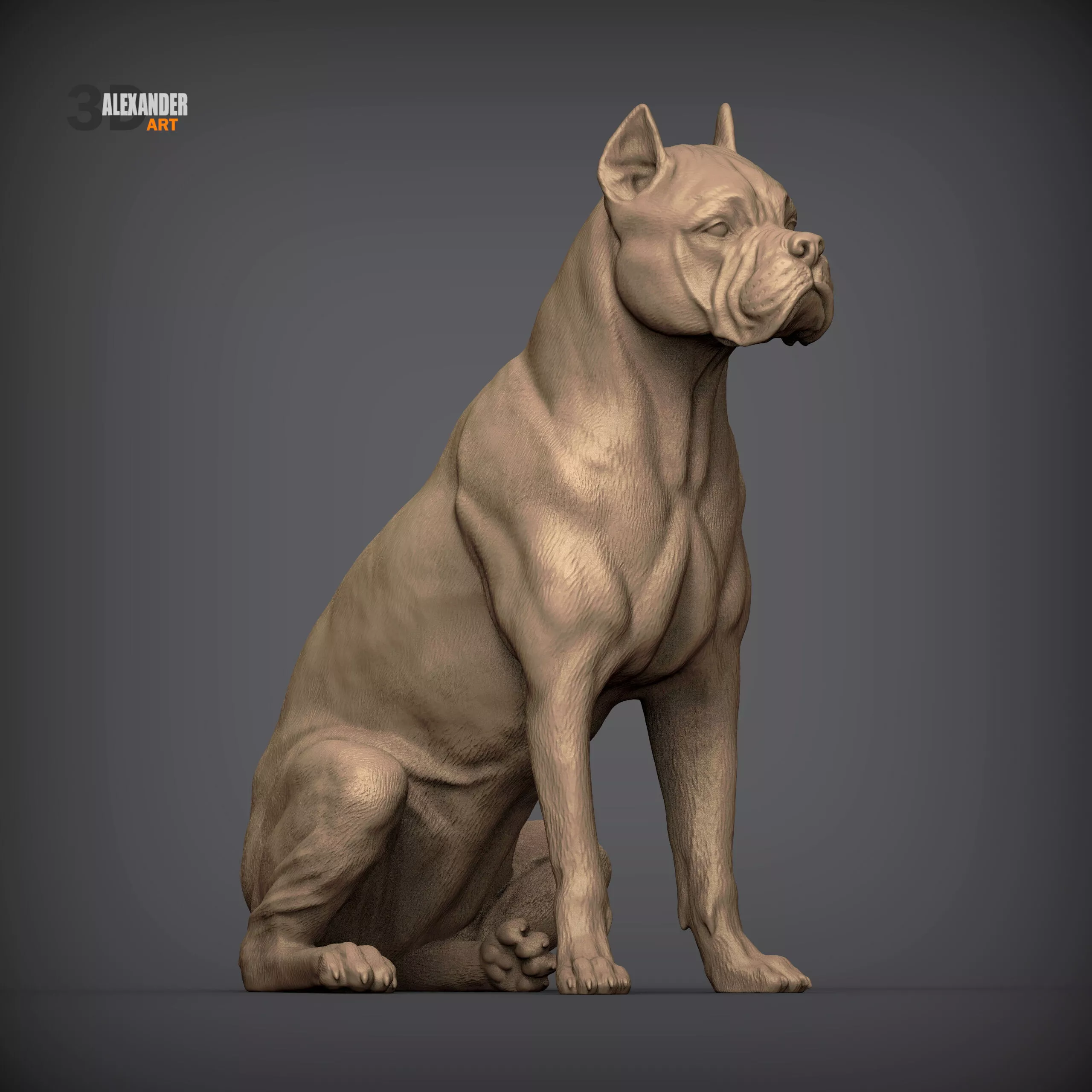 Cane Corso Sitting Realistic Dog Sculpture 3D print model