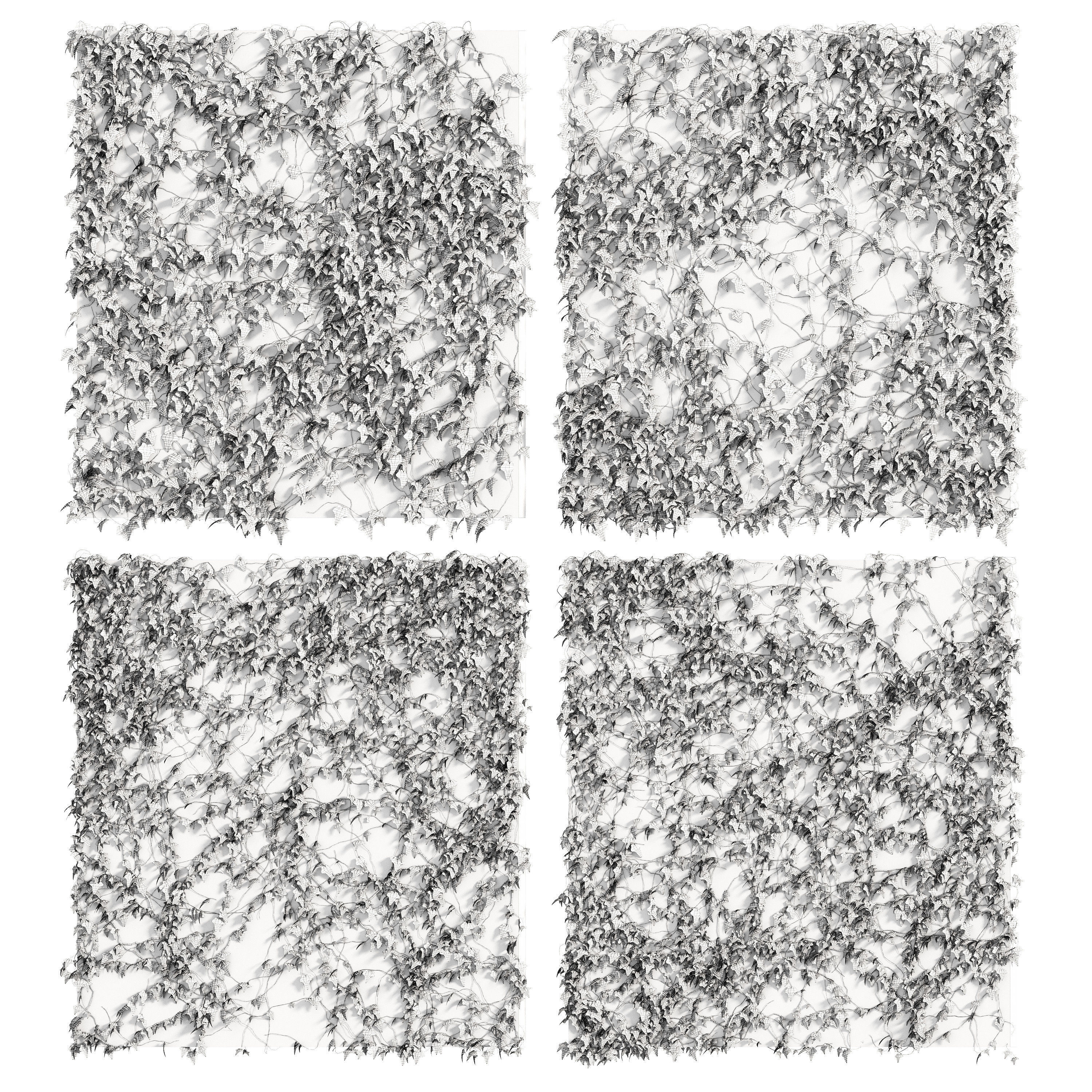 Ivy Wall 4 models 3D model_2