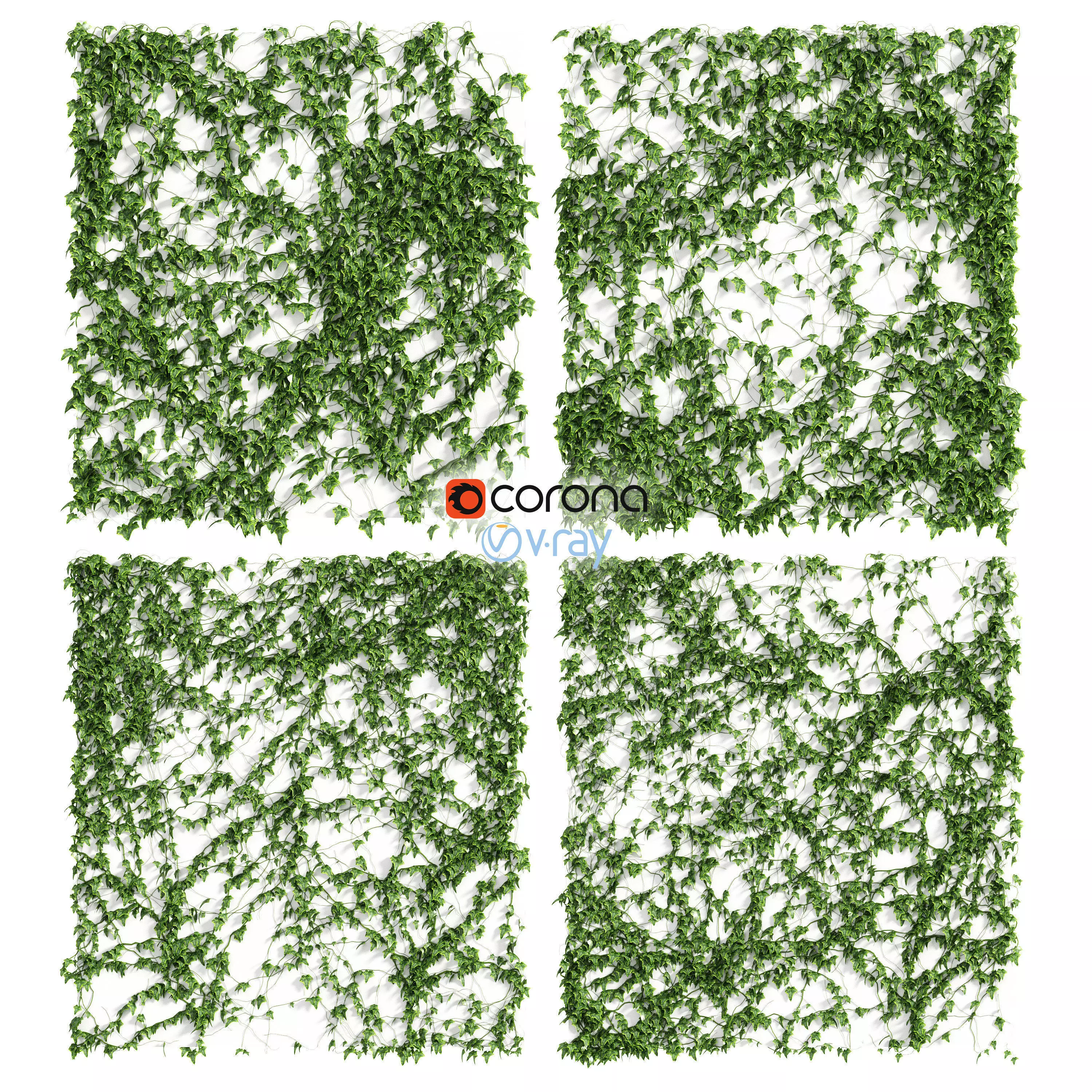 Ivy Wall 4 models 3D model_0