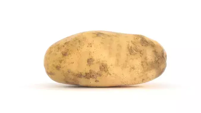 Potato Set 3D model 2