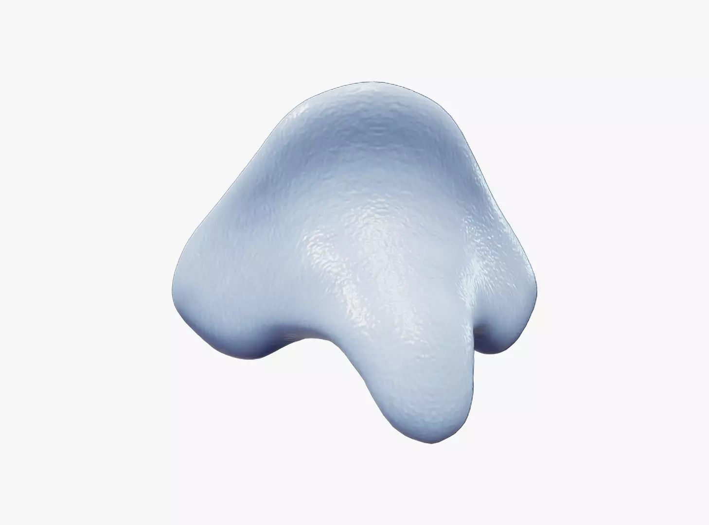 Dog Epiglottic 3D model