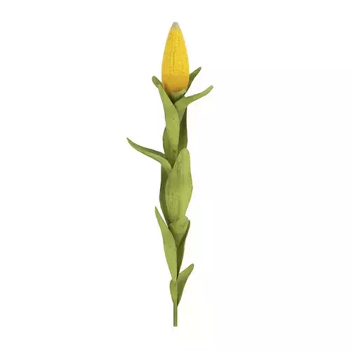 Corn Plant Low-poly 3D model 3