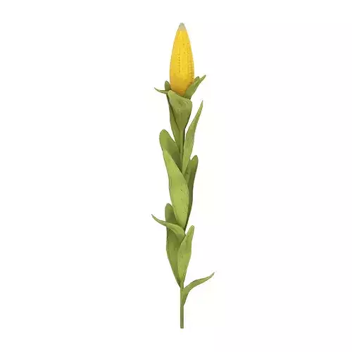 Corn Plant Low-poly 3D model 6