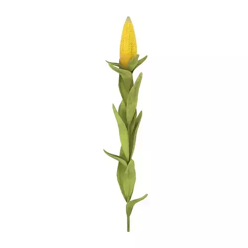Corn Plant Low-poly 3D model 7