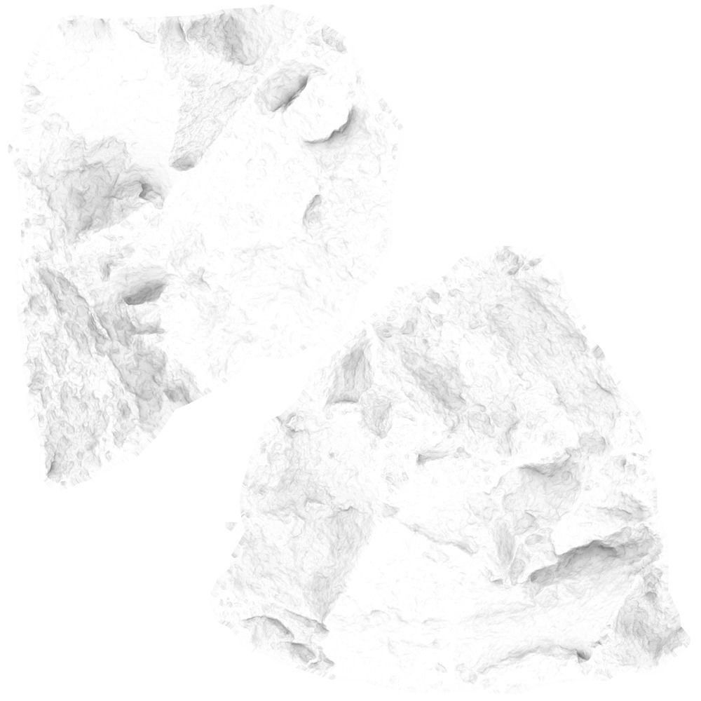 Lily Stone Low-poly 3D model_14