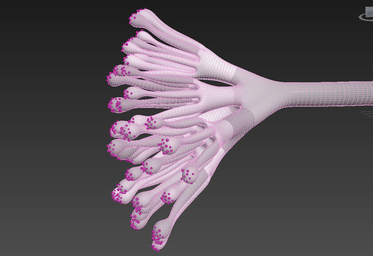 Penicillium Chrysogenum 3D model_5
