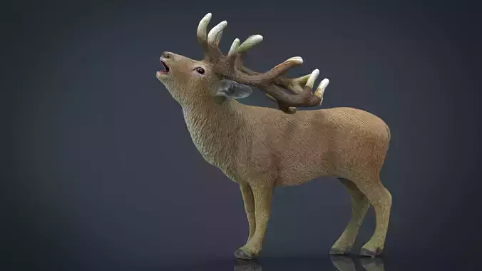 Realistic Deer with antlers
