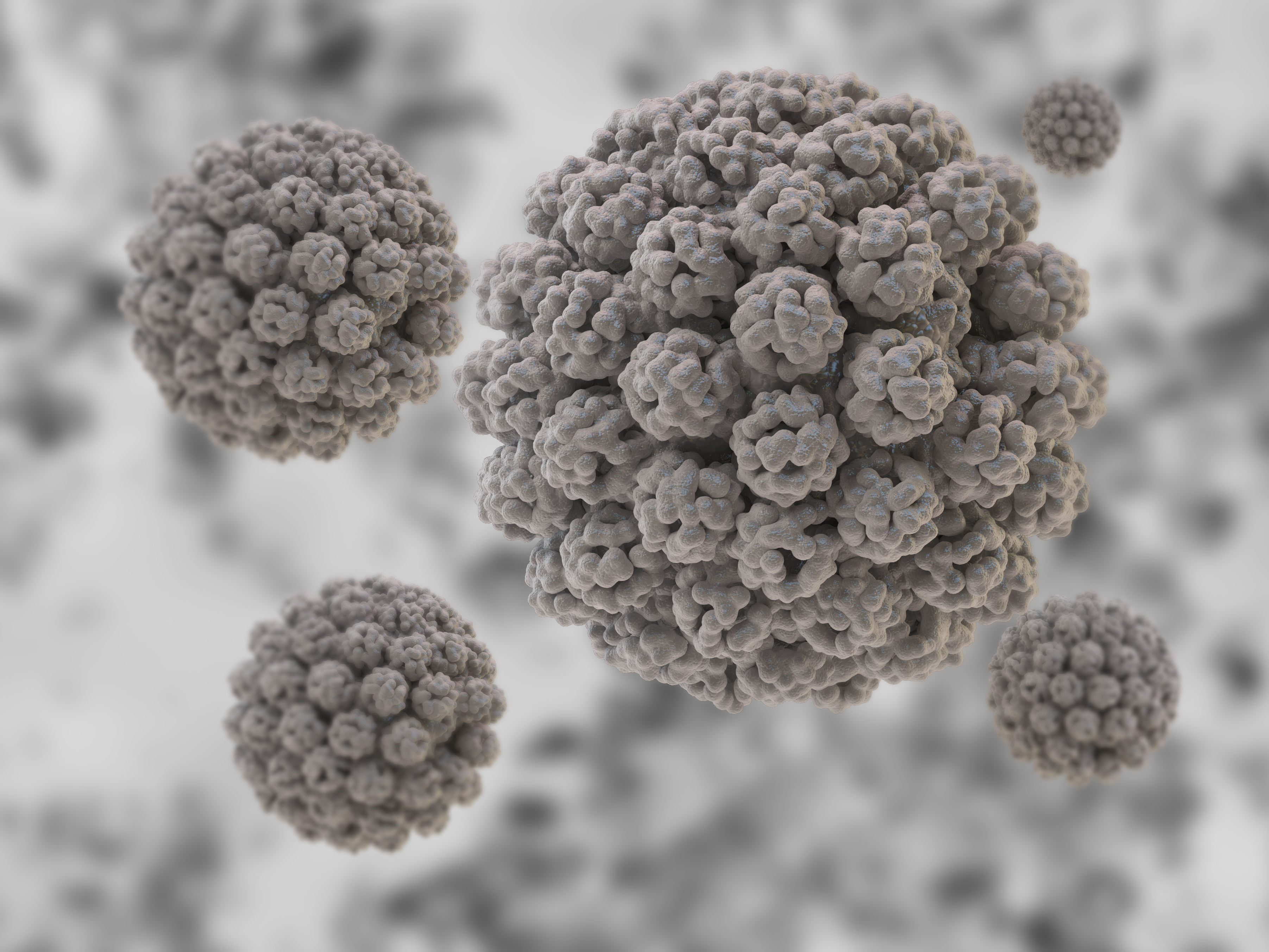 Polyomavirus ball of particles 3D model_1