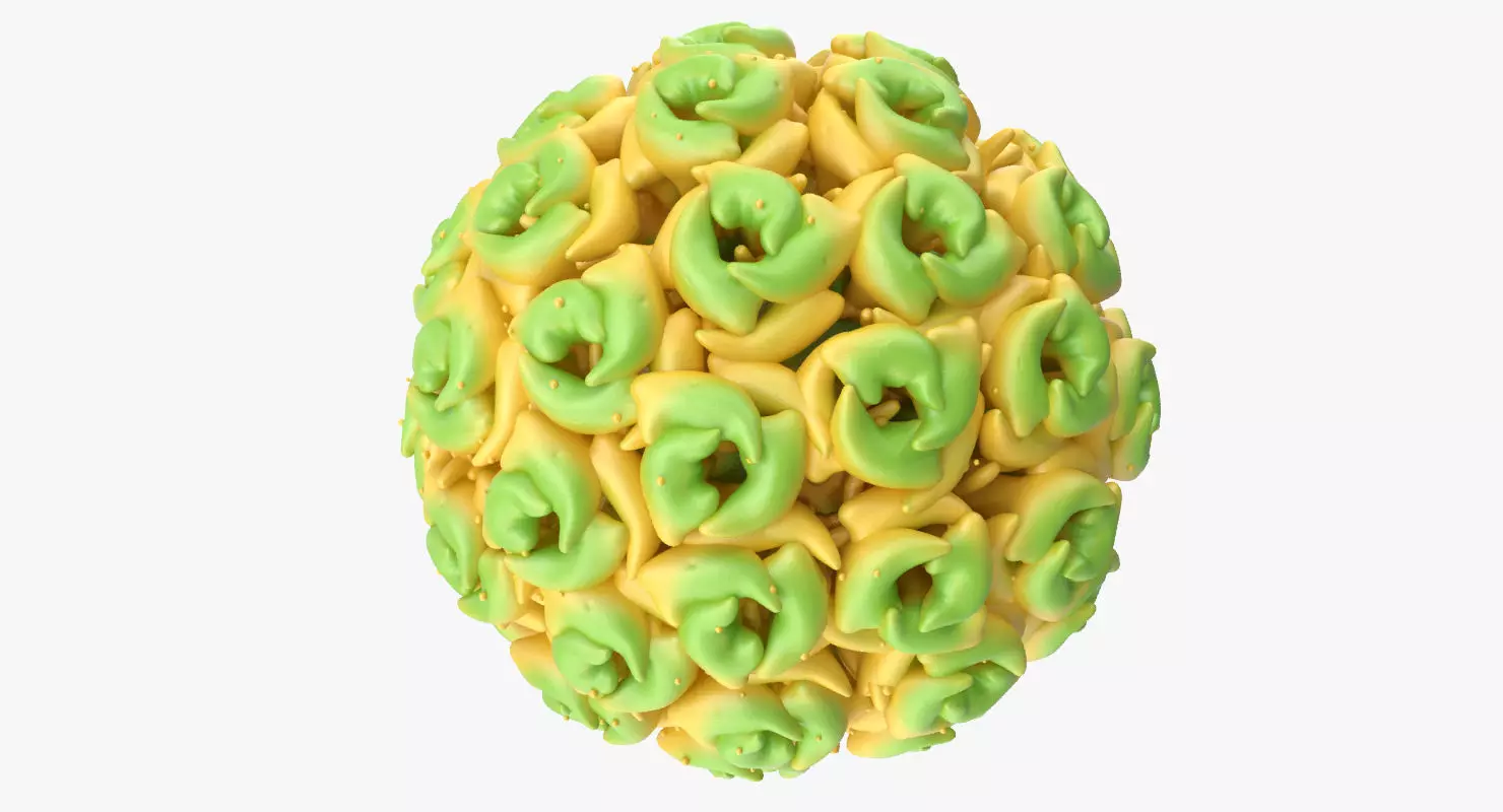 Simian Virus 40 3D model_0