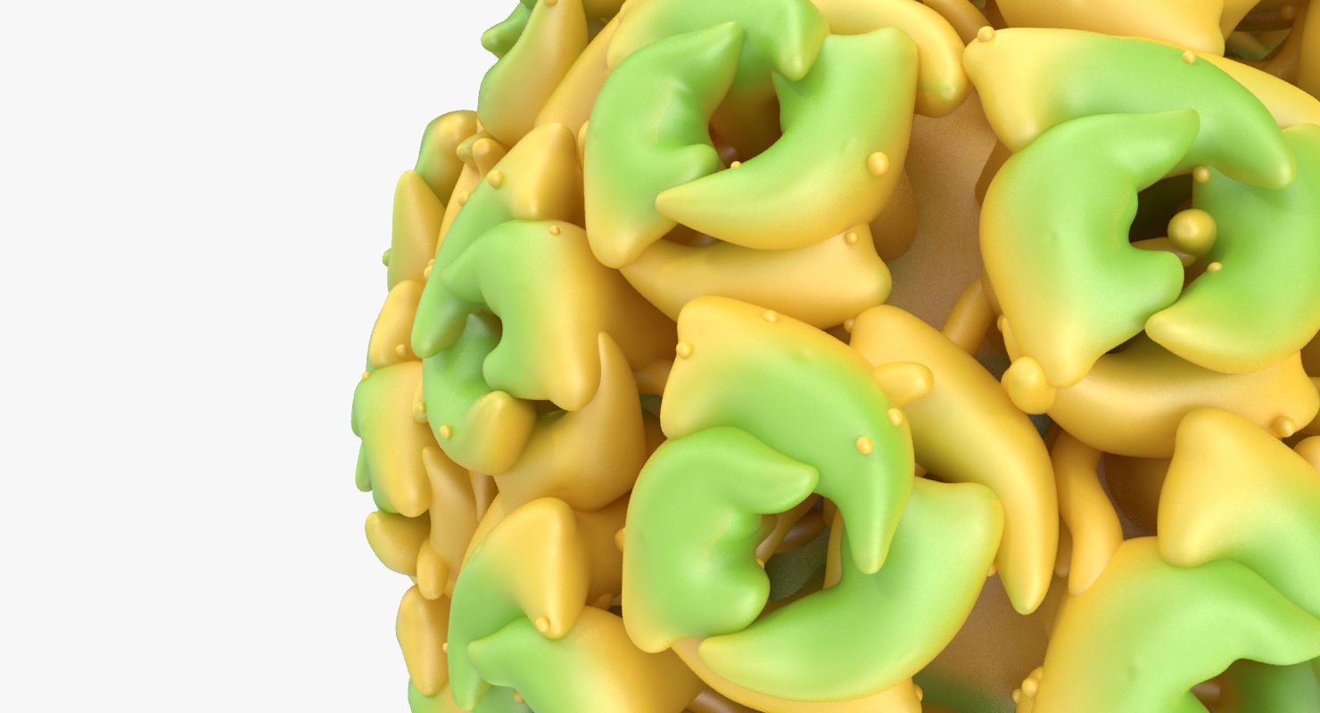 Simian Virus 40 3D model_2