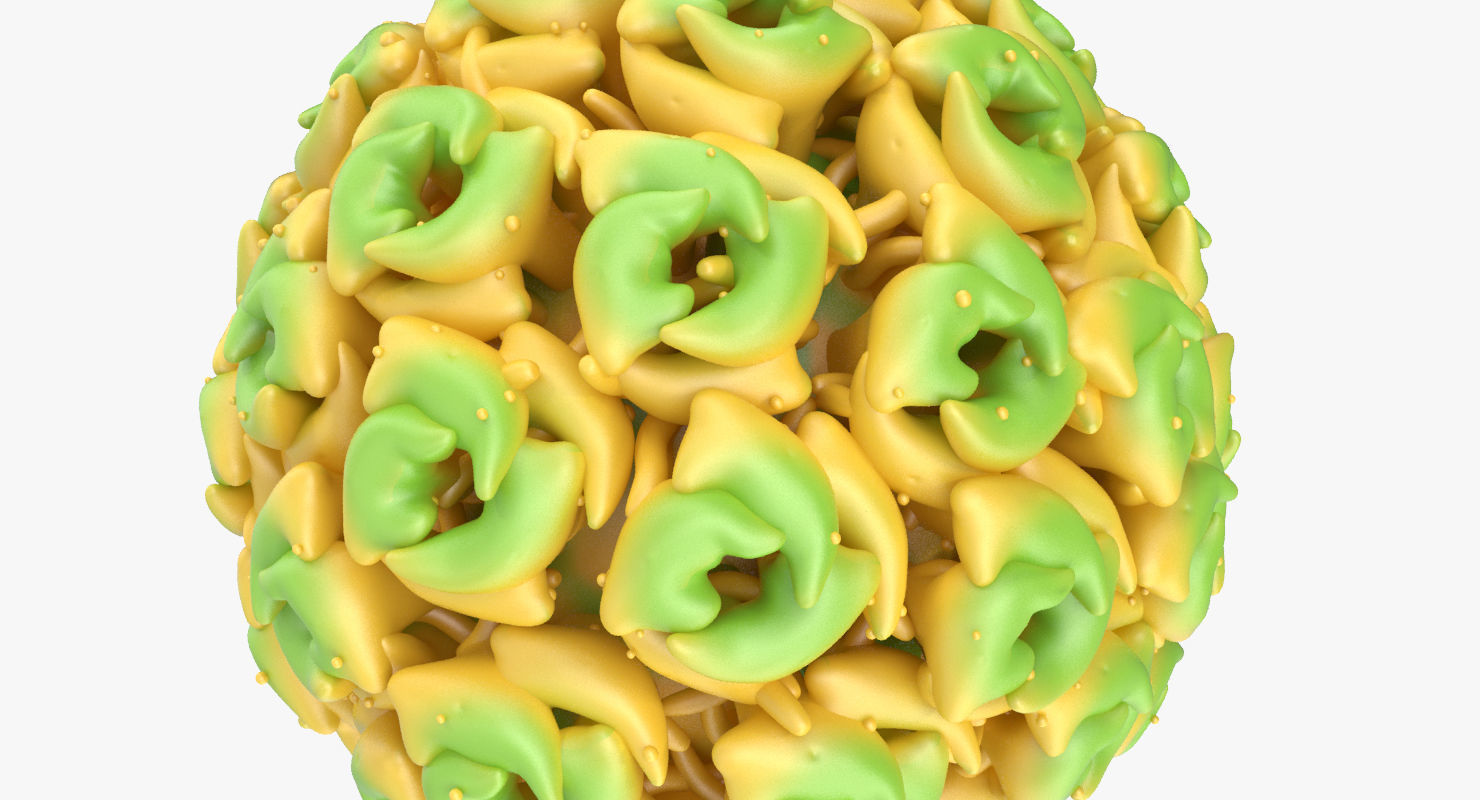 Simian Virus 40 3D model_1