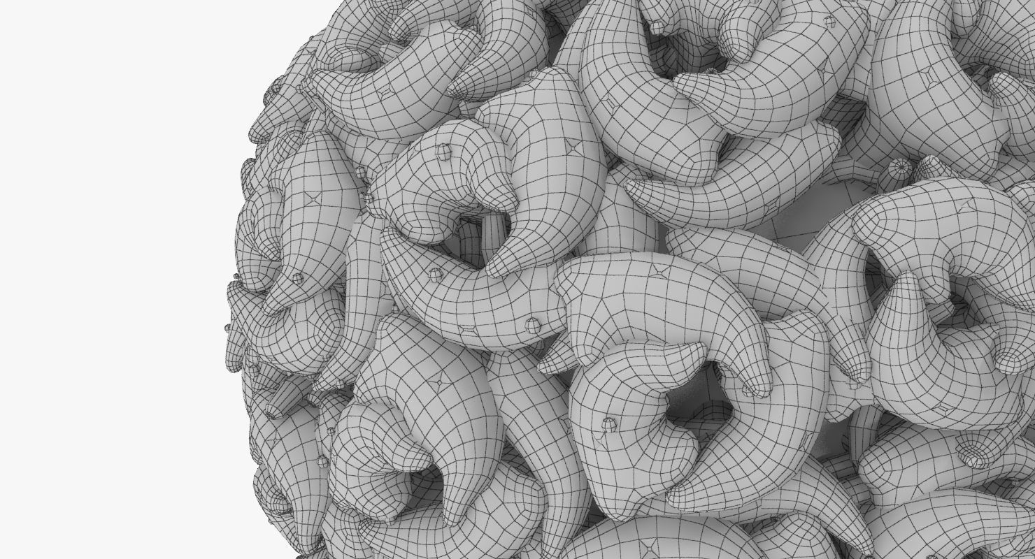 Simian Virus 40 3D model_7