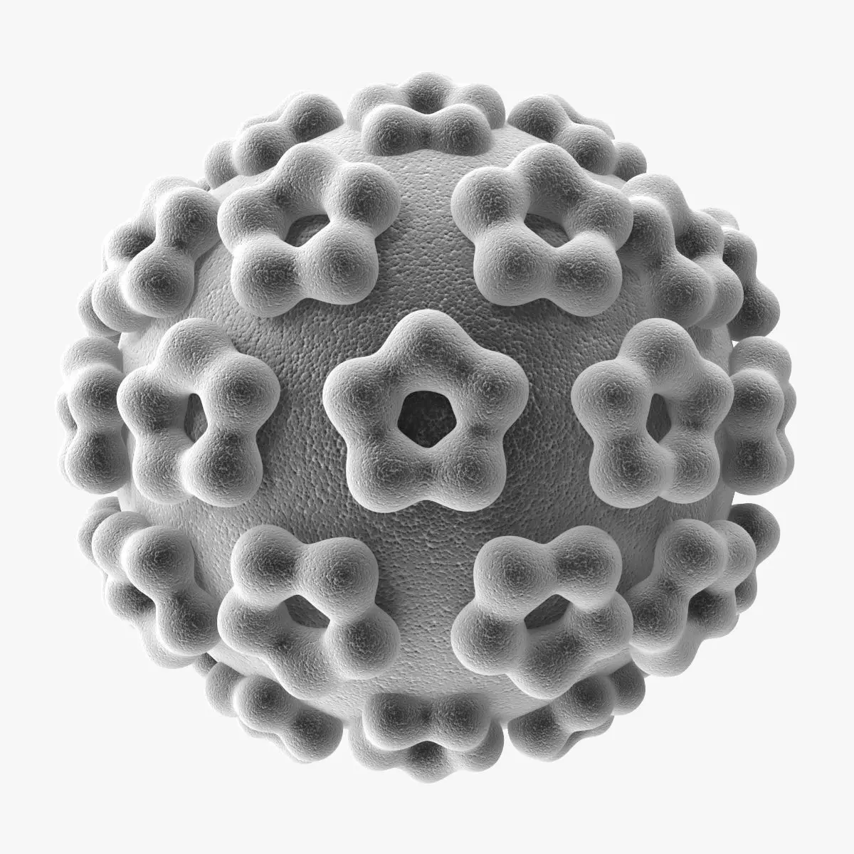 Human Papilloma Virus 3D model_0
