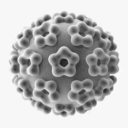 Human Papilloma Virus 3D model