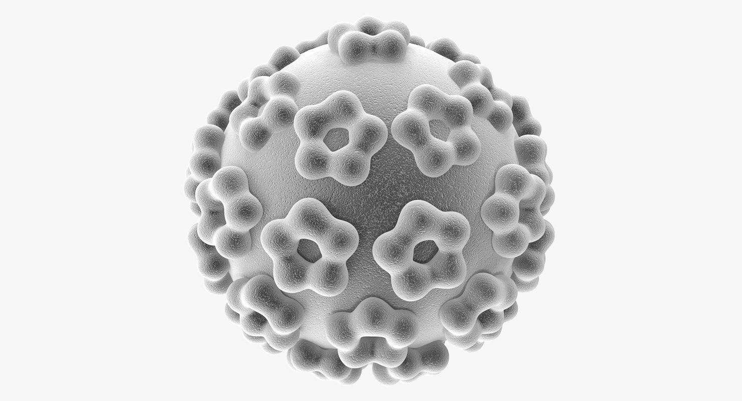 Human Papilloma Virus 3D model_4